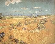 Vincent Van Gogh Wheat Stacks wtih Reaper (nn04) oil painting reproduction